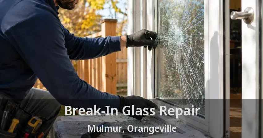 Break-In Glass Repair Mulmur, Orangeville - ON