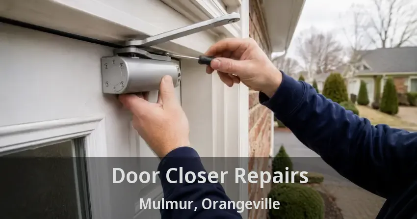 Door Closer Repairs Mulmur, Orangeville - ON