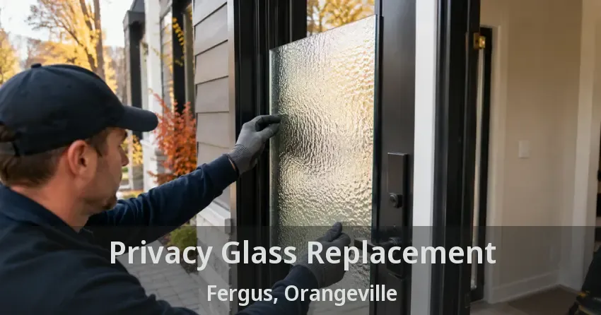 Privacy Glass Replacement Fergus, Orangeville - ON